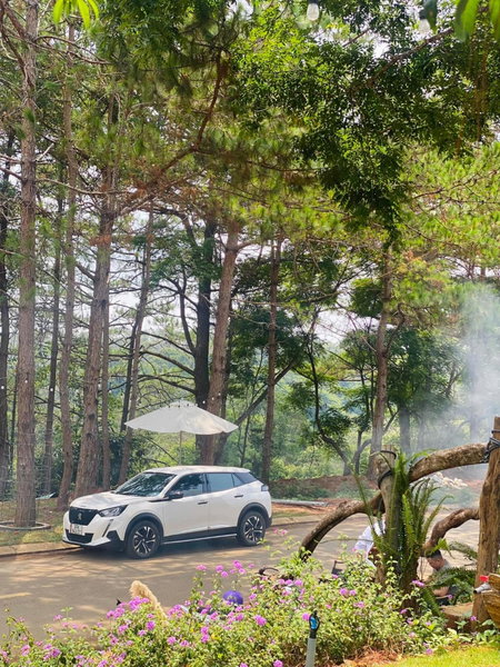 Đồi Gió Hú Homestay & Coffee - Măng Đen, Kon Tum, Vietnam