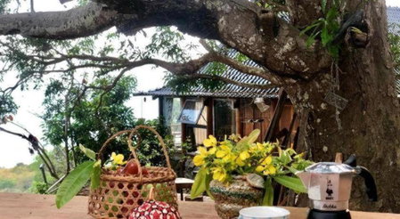 Mango House - Seaview - Homestay., Lai Sơn, Vietnam