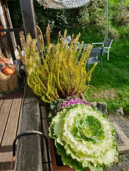 Chalet le logis des autre, Vireux-Wallerand, France