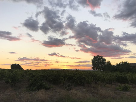 Le Mas Mellou, Orange, France