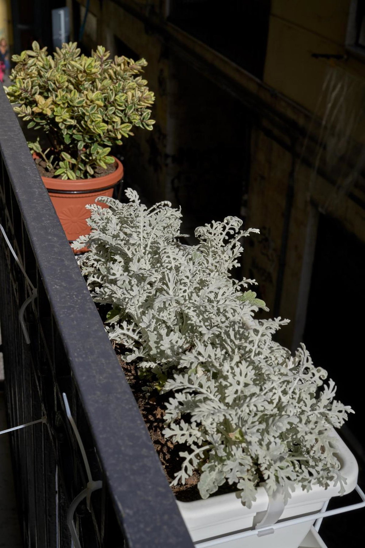 Hotel · A Casa del Principe LT, Naples