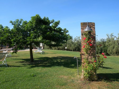 Fattoria di Colleoli, Colleoli, Italy