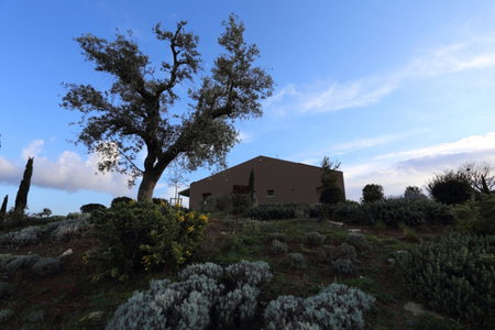 Agriturismo Le Piccole Macìe, Magliano in Toscana, Italy