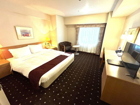 Hotel Lake Alster Alza Izumiotsu, Izumiotsu, Japan