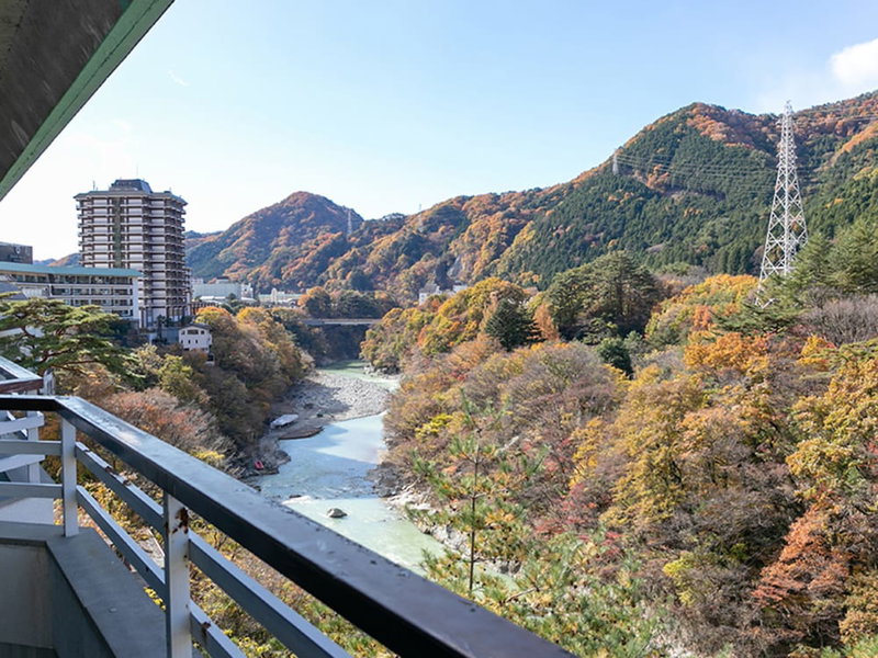 Itoen Hotel New Sakura, Nikko, Japan