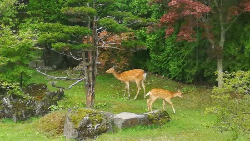 Senougen, Sapporo, Japan