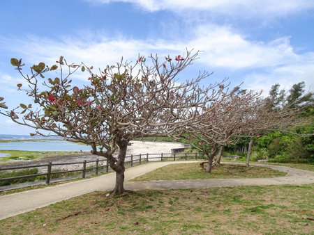 Minshuku Itoman Bettei Goyukkuri, Itoman, Japan