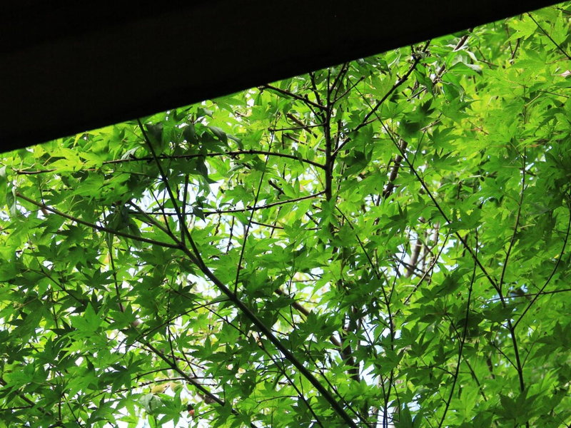Iwasu-so, Nakatsugawa, Japan