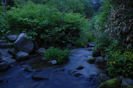 Kumanoyu Hotel, Yamanouchi, Japan