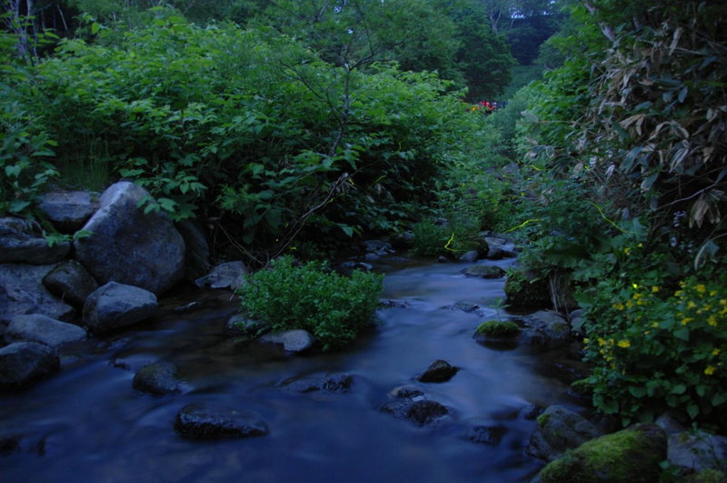 Kumanoyu Hotel, Yamanouchi, Japan
