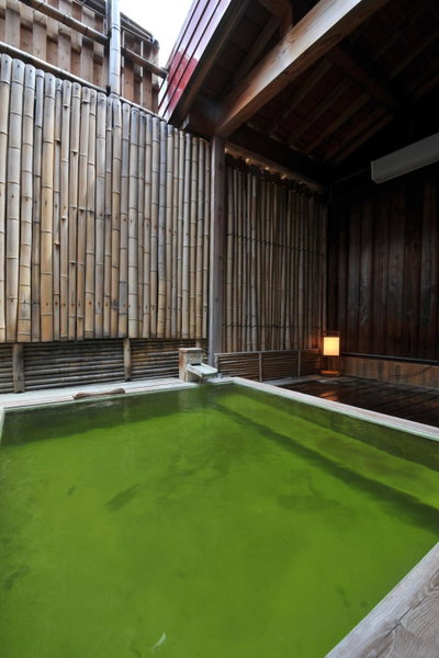 Kumanoyu Hotel, Yamanouchi, Japan