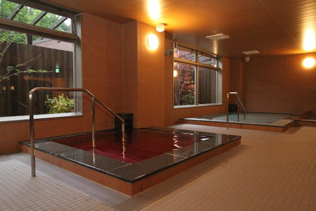 Fujizakura Hotel, Oyama, Japan