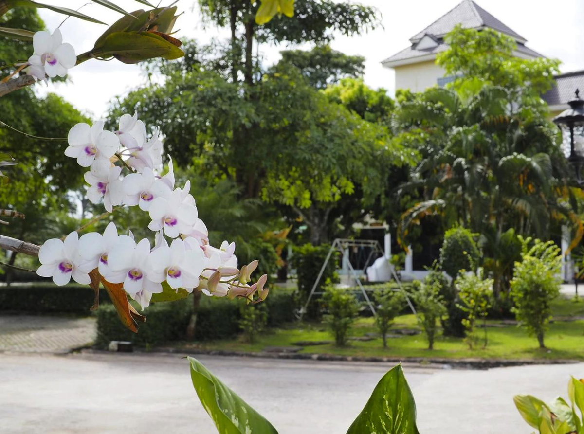 Luckswan Resort Chiang Rai - SHA Extra Plus, Thailand