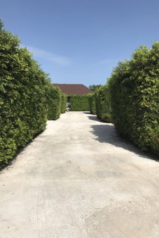 Donsak Ville, Don Sak, Thailand