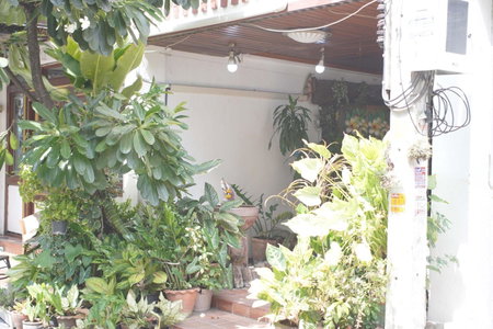 A House Boutique Guesthouse, Bangkok, Thailand