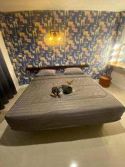 M Hostel And Cafe at Khao Kho, Khao Kho, Thailand