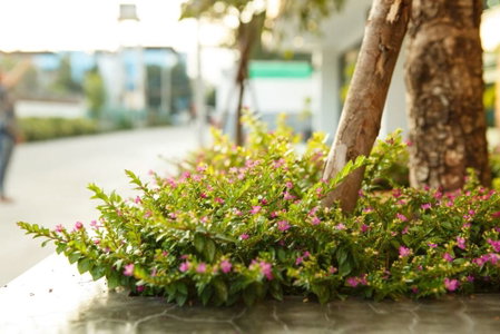 Chonlada Place, Chiang Mai, Thailand