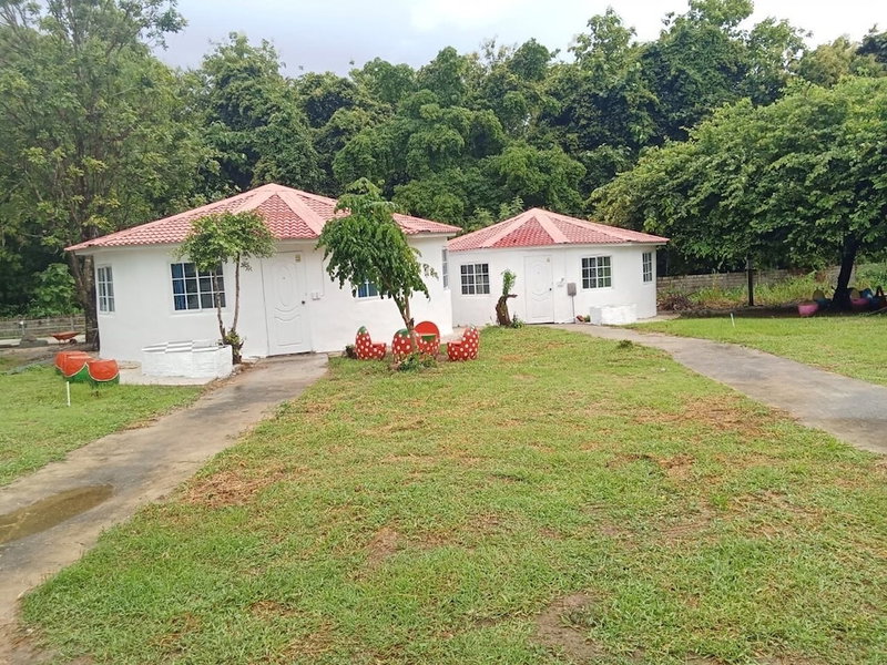 Demy Home, Suan Phueng, Thailand