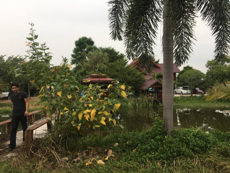 Baan Suan View Dee Homestay, Khlong Khuean, Thailand
