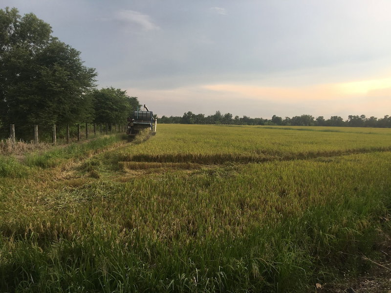 Baan Suan View Dee Homestay, Khlong Khuean, Thailand