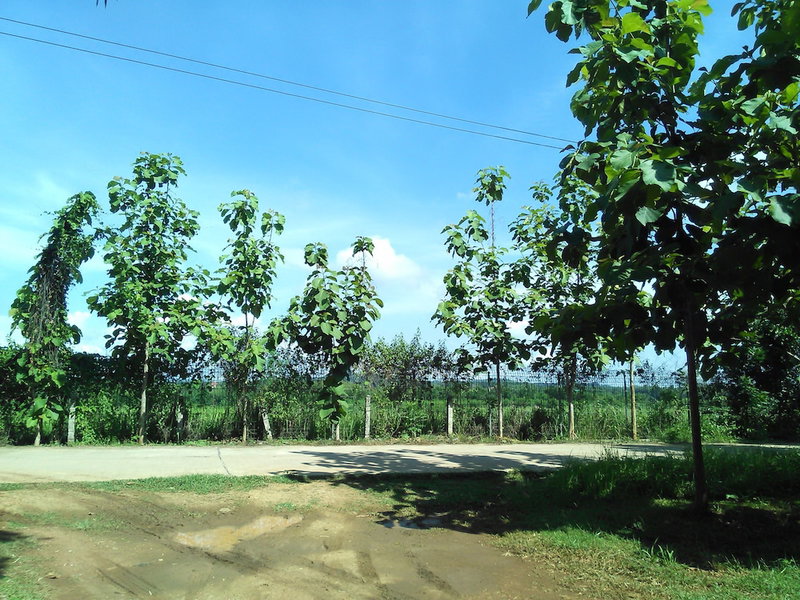 Loei Airport Homestay, Mueang Loei, Thailand