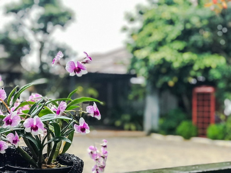 Kornwat Garden Resort, Mae Chan, Thailand