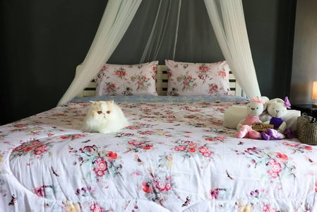 Sleep Hotel, Chonburi, Thailand
