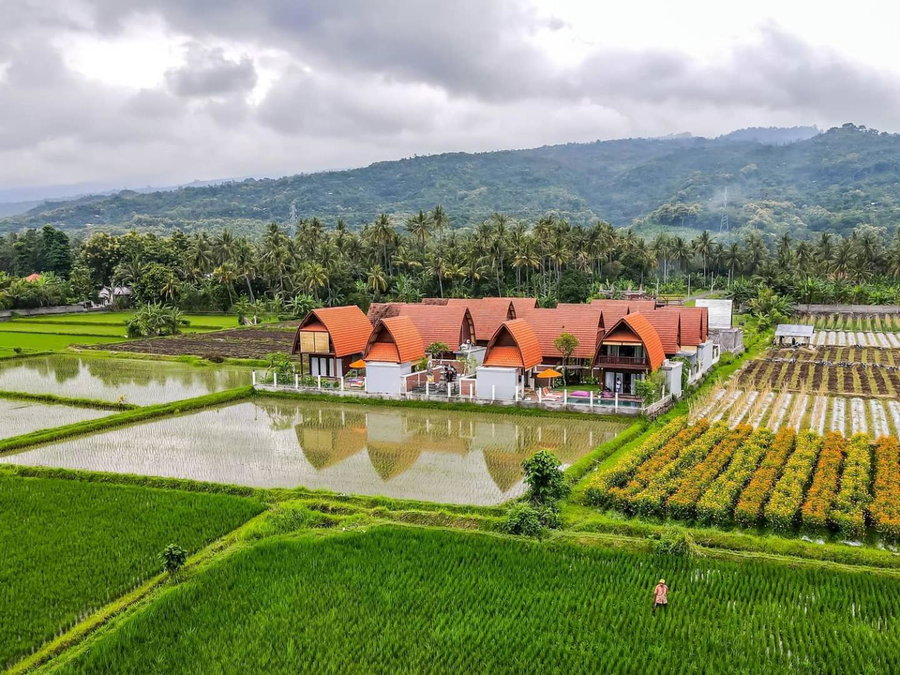 Bhumi Lovina Residence & Villa, Singaraja, Indonesia