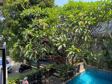 Regato Suites, Jakarta, Indonesia