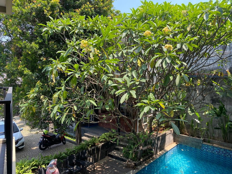 Regato Suites, Jakarta, Indonesia