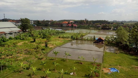 Lilis Ikvala Radha, Canggu, Indonesia