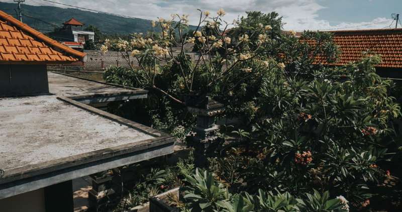 Kelana Guest House, Lovina, Indonesia