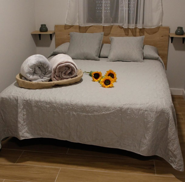 Apartamentos Tierra de Lavanda, Brihuega, Spain
