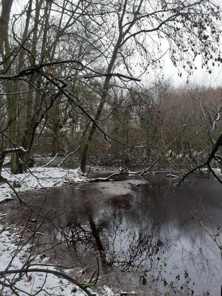 Gingerbread Cottage Yurts, East Dereham, United Kingdom