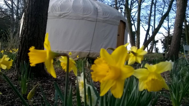 Gingerbread Cottage Yurts, East Dereham, United Kingdom