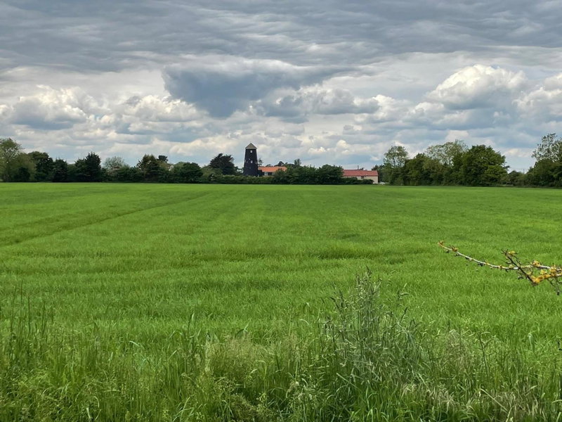 Yaxham Mill, East Dereham, United Kingdom
