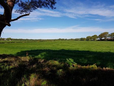 Newby Cross, Carlisle, United Kingdom