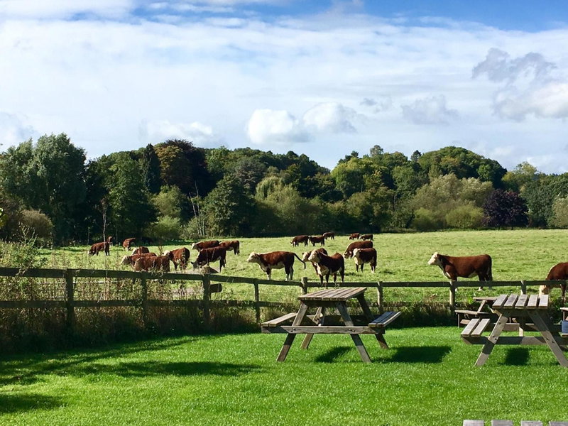 The Talbot at Knightwick, Broadwas, United Kingdom