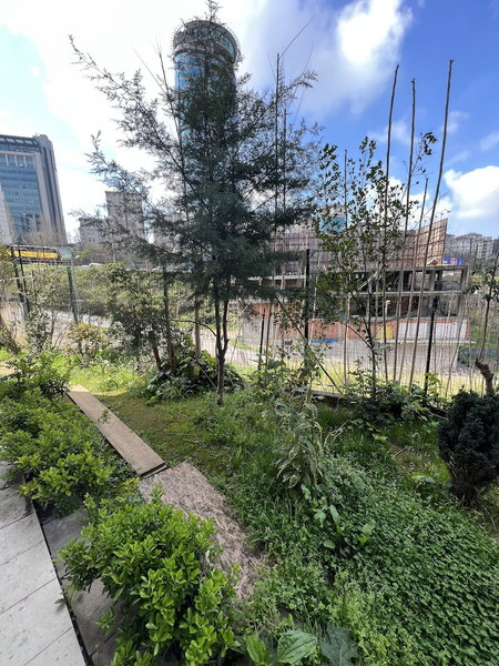 Near Suites, Istanbul, Turkey