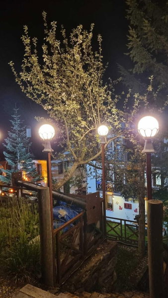 Abant Dort Mevsim Konagi, Bolu, Turkey