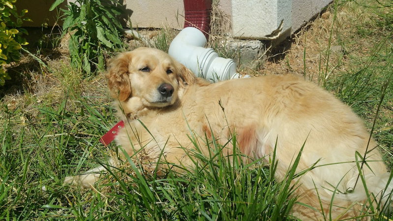 Safir Butik Otel, Sile, Turkey