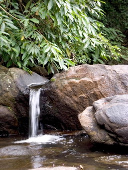 Elephant Valley Eco Farm Hotel, Kodaikānāl, India