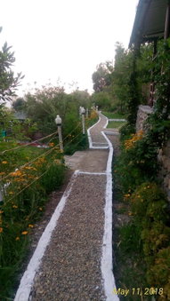 Nature Drops, Pangot, Nainital, India