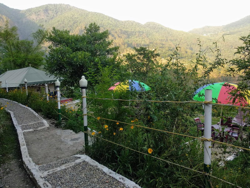 Nature Drops, Pangot, Nainital, India