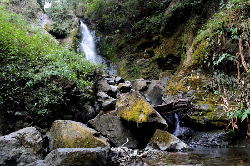 Nature Drops, Pangot, Nainital, India