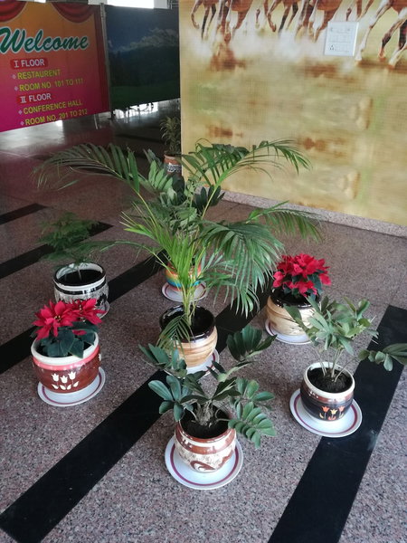 Hotel Dhanraj Palace, Bharatpur, India