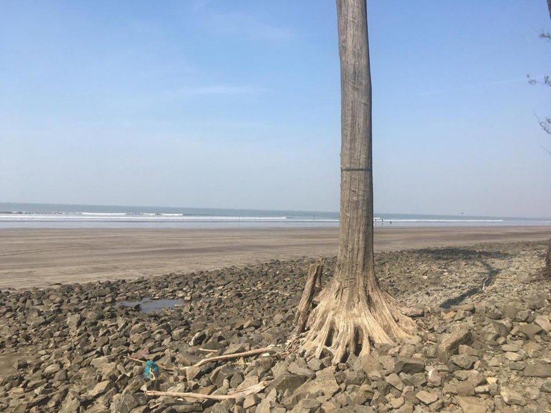Kapil's Beach Resort, Nagaon, India