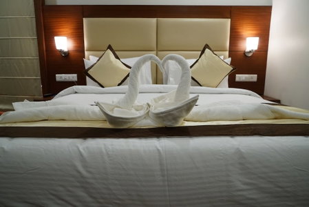 Hotel Jaipur Central, Jaipur, India