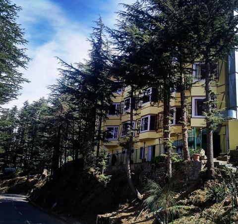 The Woodstock Resort, India