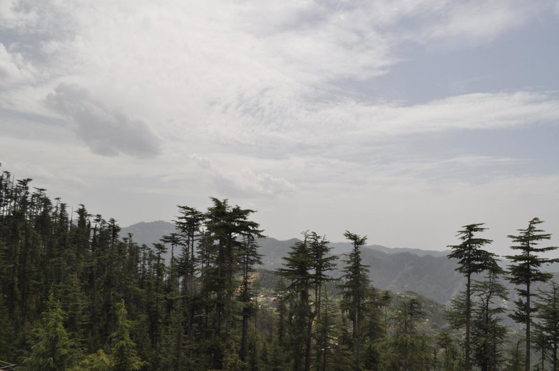 The Woodstock Resort, Kīar, India